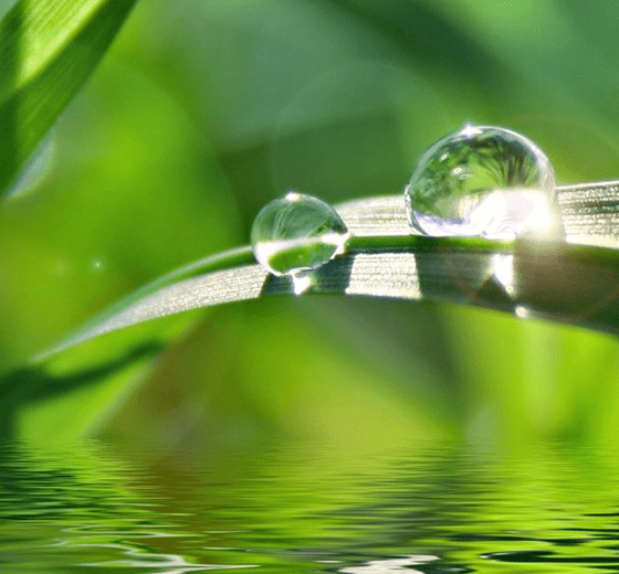 堅持可持續發展戰略